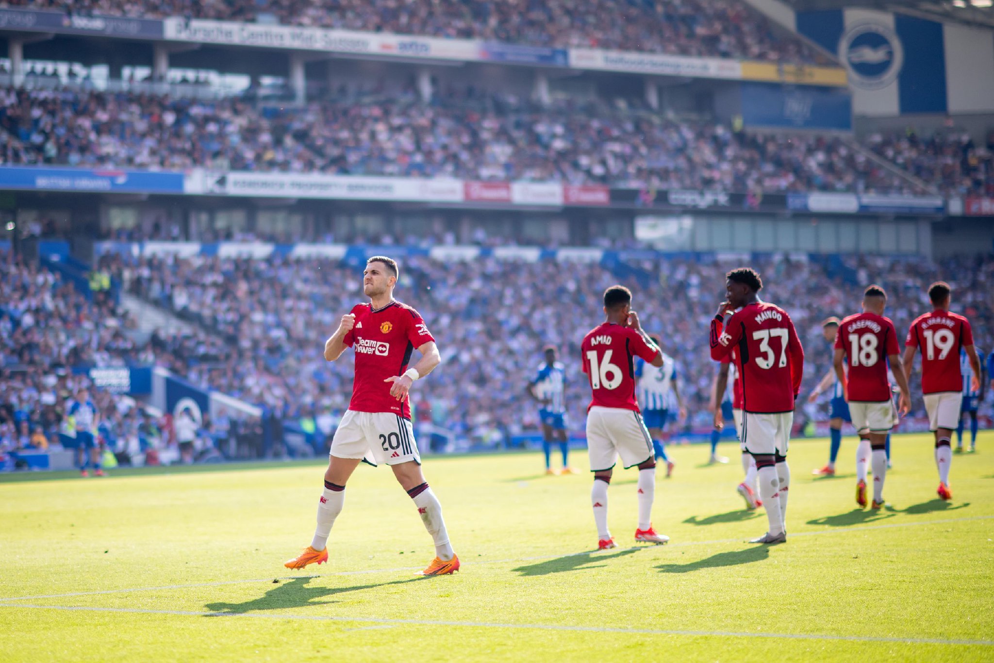 康复和训练 康复和训练